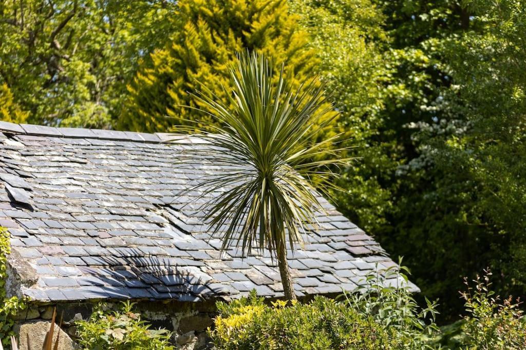 Villa Plas Newydd With Swimming Pool, Fire Pit, And Log Fires Rhiw Exterior foto